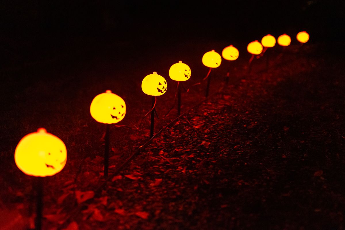 Golf Cart Trick-or-Treating in Florida: Night Rules