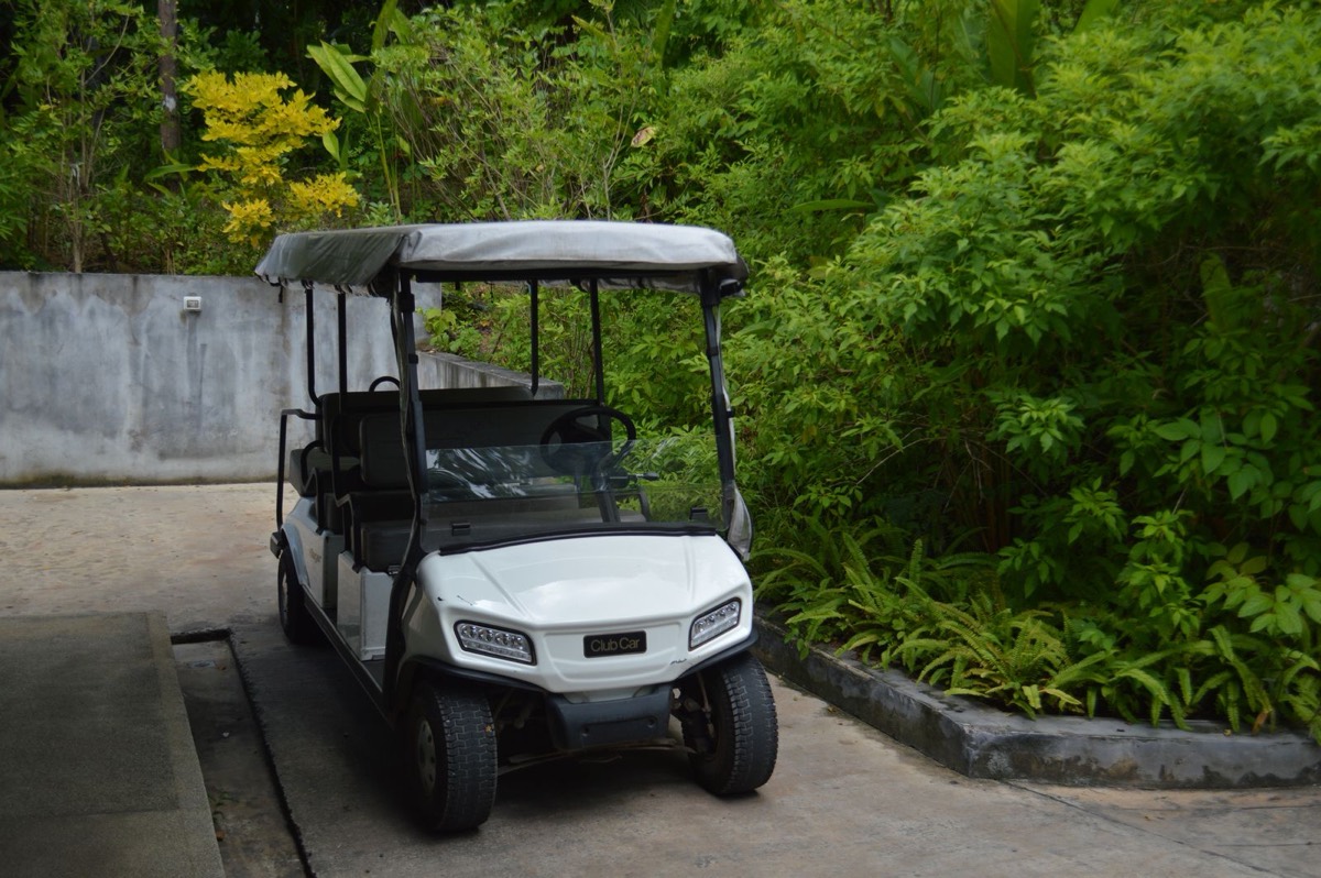 Golf Cart Won't Move? What to Check