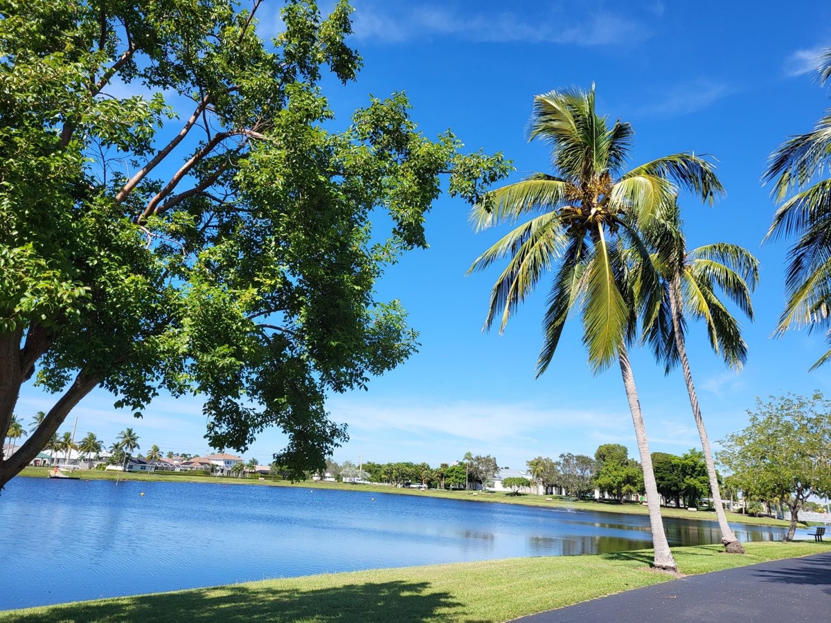 Golf Carts for Sale in Auburndale, FL: A Local Dealer Guide