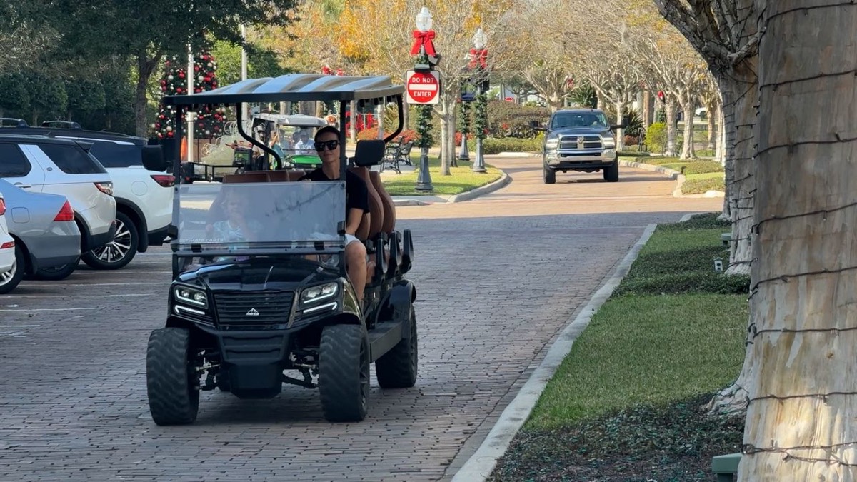 Golf Carts in Lake Ashton, FL