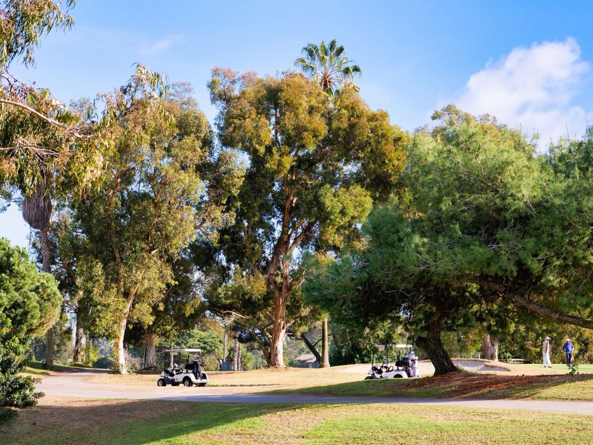 Fall Golf Cart Checkup in Florida: Our Shop's List